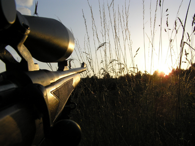 Untitled design (1) R License Course